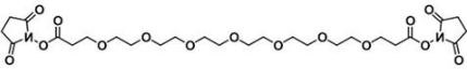 CAS:1334170-02-3；双-七聚乙二醇-酯；Bis-PEG7-NHS ester