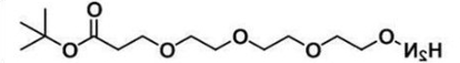 CAS:1835759-72-2；氨氧基-三聚乙二醇-叔丁酯；Amineoxy-PEG3-t-butyl ester
