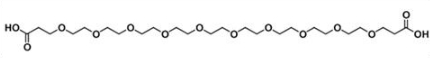 羧基十聚乙二醇羧基；COOH-PEG-COOH；Acid-PEG-acid
