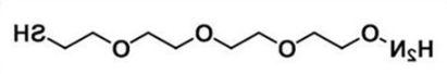 氨氧基-三聚乙二醇-硫醇HCl盐；Amineoxy-PEG3-thiol HCl salt