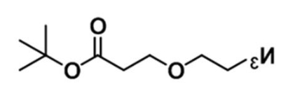 叠氮十二聚乙二醇活性酯;Azide-PEG12-NHS ester 叠氮十二聚乙二醇活性酯;Azide-PEG12-NHS ester