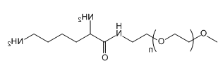 mPEG-L-LysineP 甲氧基聚乙二醇-赖氨酸