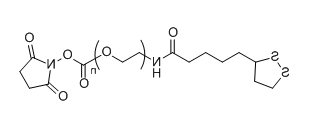 LA-PEG-SC；α-硫辛酸基-ω-琥珀酰亚胺碳酸酯基聚乙二醇