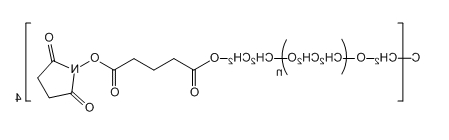 4-ArmPEG-SG；四臂聚乙二醇琥珀酰亚胺戊二酸酯