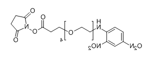 CAS： 858126-78-0；DNP-PEG4-NHS；分子式：  C21H28N4O12