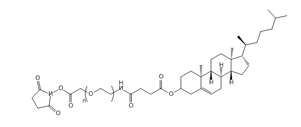 Cholesterol-PEG-Succinimidyl Carboxymethyl Ester；CLS-PEG-SCM 