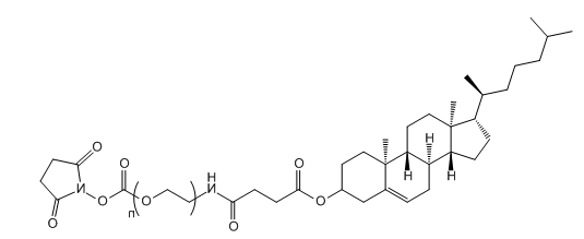 CLS-PEG-SC;CLS-PEG-NHS;胆固醇-聚乙二醇-活性酯 CLS-PEG-SC;CLS-PEG-NHS;胆固醇-聚乙二醇-活性酯