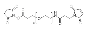Mal-NH-PEG4-NHS;756525-99-2;马来酰亚胺-酰胺-四聚乙二醇-琥珀酰亚胺酯 Mal-NH-PEG4-NHS;756525-99-2;马来酰亚胺-酰胺-四聚乙二醇-琥珀酰亚胺酯