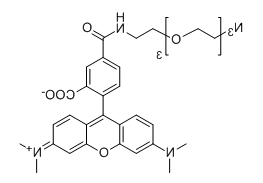 CAS:1228100-59-1;TAMRA-PEG3-N3;分子式:C33H38N6O7 CAS:1228100-59-1;TAMRA-PEG3-N3;分子式:C33H38N6O7