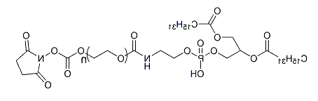 DPPE-PEG-SC；二棕榈酰磷酯酰乙醇胺-聚乙二醇-活性酯；DPPE-PEG-NHS