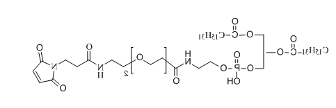 DPPE-PEG2-NH-Mal应用于医学研究
