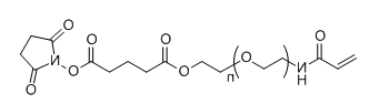 ACA-PEG-SG；Acrylamide-PEG-Succinimidyl Glutarate ester