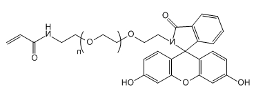FITC-PEG-ACA；Fluorescein-PEG-Acrylamide；荧光素-聚乙二醇-丙烯酰胺