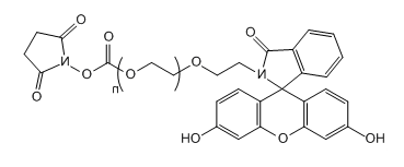 FITC-PEG-SC；荧光素-聚乙二醇-琥珀酰亚胺碳酸酯；FITC-PEG-NHS