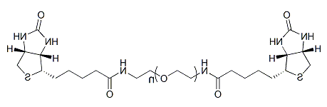 Biotin-PEG-Biotin；α,ω-二生物素聚乙二醇的基本信息