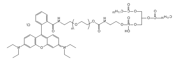 RB-PEG-DSPE；Rhodamine B-PEG-DSPE；罗丹明B-聚乙二醇-二硬脂酰基磷脂酰乙醇胺