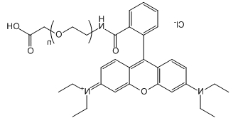 RB-PEG-COOH；RB-PEG-Acid；罗丹明B-聚乙二醇-羧基