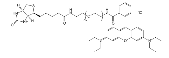 RB-PEG-Biotin；Rhodamine B-PEG-Biotin；罗丹明B-聚乙二醇-生物素