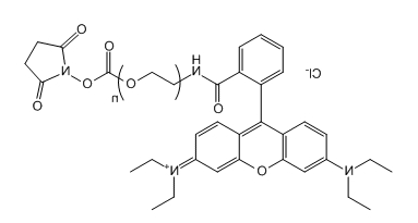 RB-PEG-SC；罗丹明B-聚乙二醇-琥珀酰亚胺碳酸酯；RB-PEG-NHS