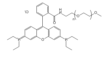 mPEG-RB；mPEG-Rhodamine B；甲氧基聚乙二醇-罗丹明B