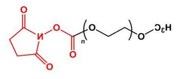 mPEG-SC；甲氧基聚乙二醇琥珀酰亚胺碳酸酯；mPEG-Succinimidyl ester