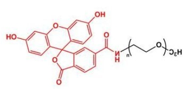  mPEG-Fluoresein；mPEG-FITC；甲氧基聚乙二醇荧光素