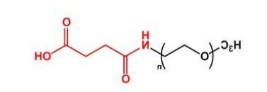  mPEG-SAA；mPEG-Succinamide Acid；甲氧基聚乙二醇琥珀酰胺酸