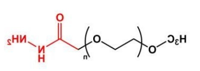 mPEG-Hydrazide；mPEG-HZ；甲氧基聚乙二醇酰肼 
