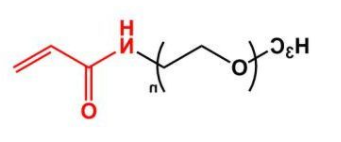 mPEG-ACA；甲氧基聚乙二醇丙烯酰胺 ；mPEG-Acrylamide