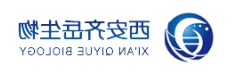  mPEG-DPPE；甲氧基聚乙二醇二棕榈酰磷脂酰乙酰胺