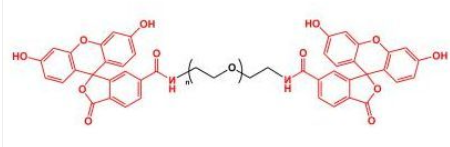 FITC-PEG-FITC；二荧光素聚乙二醇；Fluoresein-PEG-Fluoresein