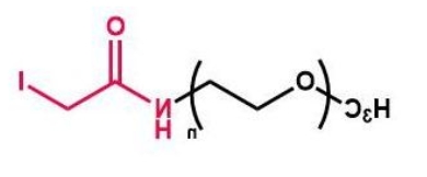 mPEG-I mPEG-Iodine；甲氧基聚乙二醇酰胺碘
