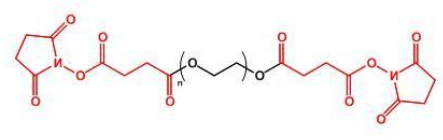 SS-PEG-SS;二琥珀酰亚胺丁二酸酯聚乙二醇;Succinimidyl Succinate ester-PEG-Succinimidyl Succinate ester SS-PEG-SS;二琥珀酰亚胺丁二酸酯聚乙二醇;Succinimidyl Succinate ester-PEG-Succinimidyl Succinate ester