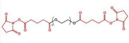 SG-PEG-SG；二琥珀酰亚胺戊二酸酯聚乙二醇；Succinimidyl Glutarate ester-PEG-Succinimidyl Glutarate ester