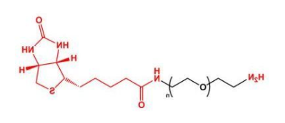NH2-PEG-Biotin;氨基聚乙二醇生物素;Biotin-PEG-NH2 NH2-PEG-Biotin;氨基聚乙二醇生物素;Biotin-PEG-NH2