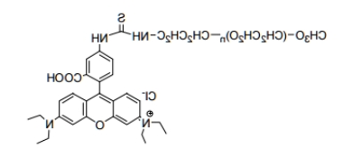 mPEG-Rhodamine B;mPEG-RB;甲氧基聚乙二醇罗丹明 mPEG-Rhodamine B;mPEG-RB;甲氧基聚乙二醇罗丹明