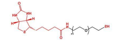 SH-PEG-Biotin；巯基聚乙二醇生物素；Biotin-PEG-SH
