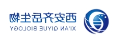 mPEG-DPPE；甲氧基聚乙二醇二棕榈酰磷脂酰乙酰胺 