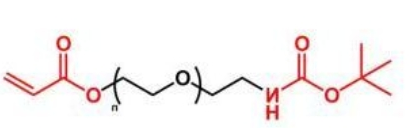 BOC-NH-PEG-AC；叔丁氧羰基聚乙二醇丙烯酸酯 