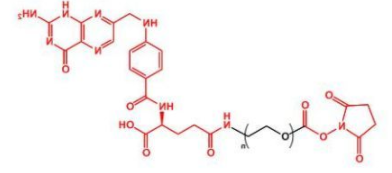 NHS-PEG-FA；活性酯聚乙二醇叶酸 ；Folate-PEG-NHS