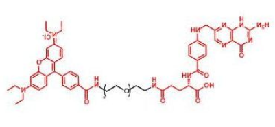 RB-PEG-FA;罗丹明聚乙二醇叶酸;Folate-PEG-RB RB-PEG-FA;罗丹明聚乙二醇叶酸;Folate-PEG-RB