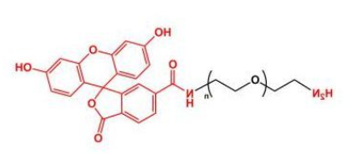 FITC-PEG-NH2；荧光素聚乙二醇氨基；Amine-PEG-FITC