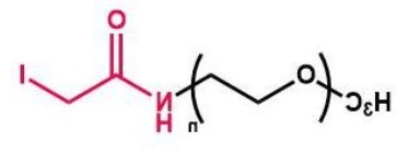 mPEG-I mPEG-Iodine；甲氧基聚乙二醇酰胺碘
