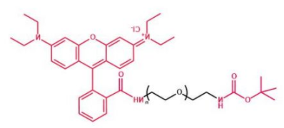 Boc-NH-PEG-RB；叔丁氧羰基聚乙二醇罗丹明；Boc-NH-PEG-Rhodamine B