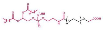 DSPE-PEG-COOH；磷脂聚乙二醇羧基；DSPE-PEG-Acid