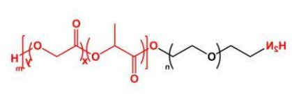 PLGA-PEG-NH2；聚乳酸-羟基乙酸共聚物聚乙二醇氨基；NH2-PEG-PLGA