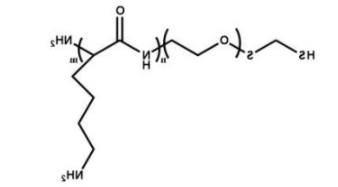 HS-PEG-PLL;巯基聚乙二醇聚赖氨酸;Polylysine-PEG-Thiol HS-PEG-PLL;巯基聚乙二醇聚赖氨酸;Polylysine-PEG-Thiol