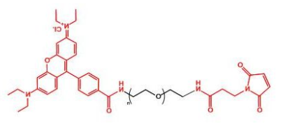 Rhodamine-PEG-MAL；罗丹明聚乙二醇马来酰亚胺；MAL-PEG-Rhodamine