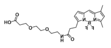 BODIPY FL-PEG2-COOH的基本信息