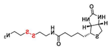 Biotin-SS-azide；生物素-二硫-叠氮；1620523-64-9